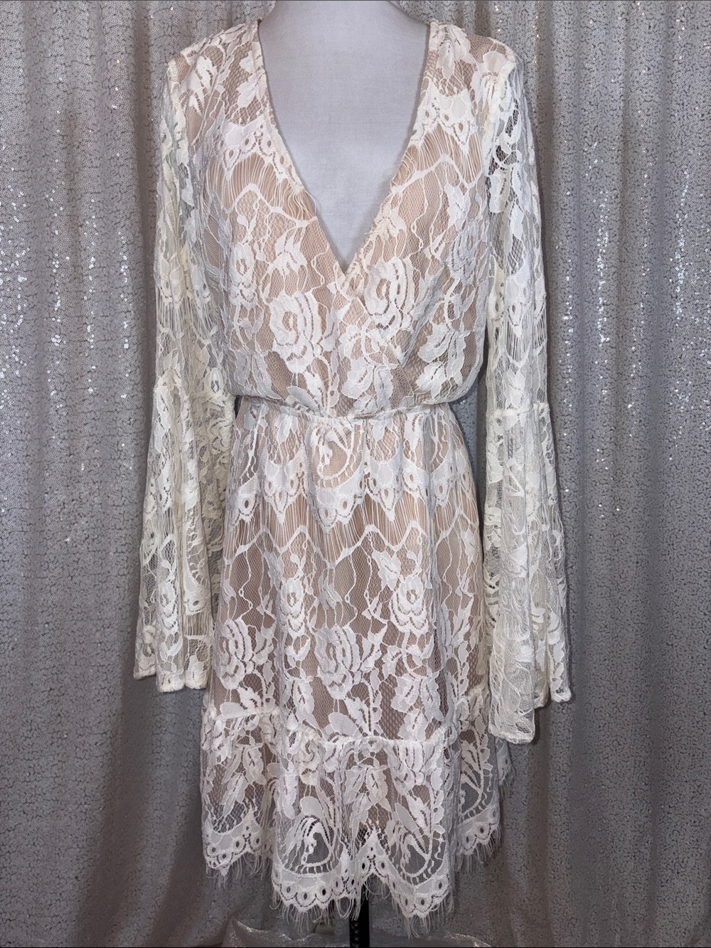 Southern Fried Chics Ivory Lace Long Sleeve V-Neck Dress